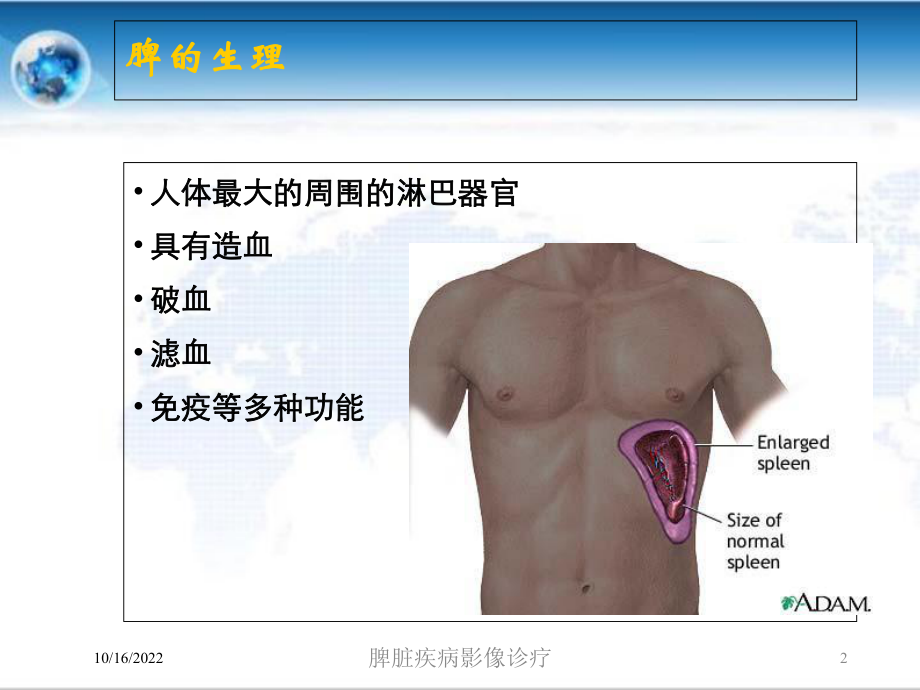 脾脏疾病影像诊疗培训课件.ppt_第2页