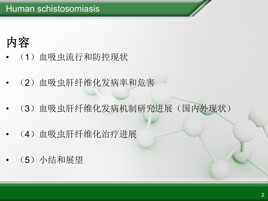 血吸虫肝纤维化研究进展课件.ppt_第2页