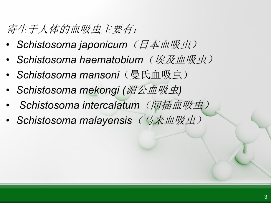 血吸虫肝纤维化研究进展课件.ppt_第3页