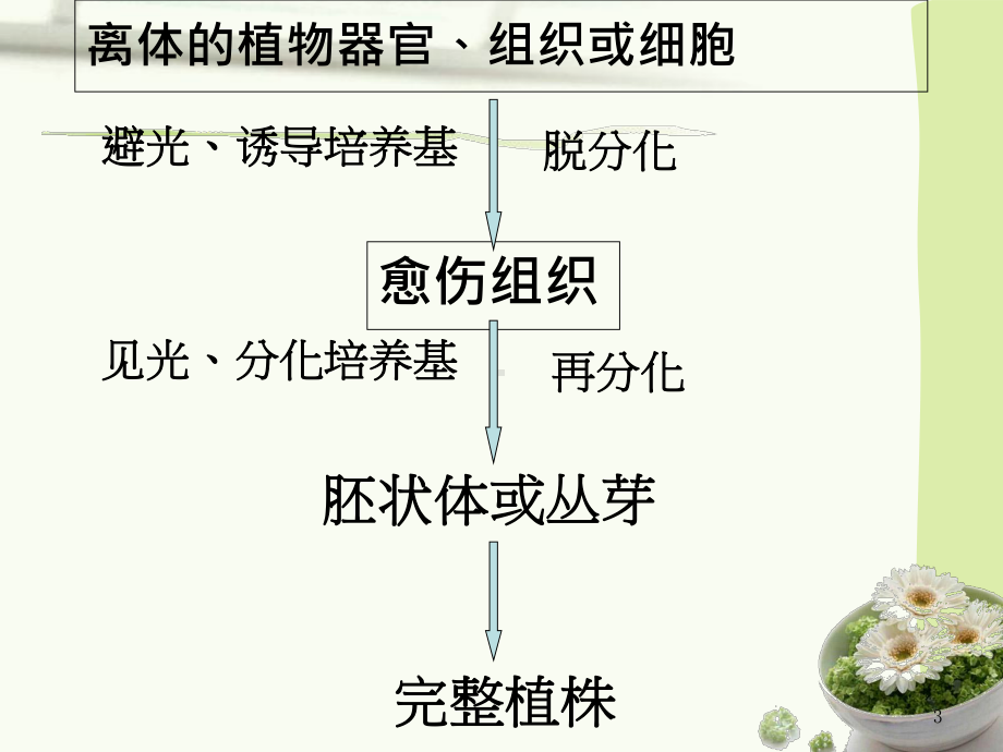 植物细胞工程应用课件.ppt_第3页