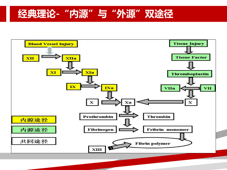 重症医学资质培训重症病人的凝血紊乱获得性凝血病课件.ppt_第3页