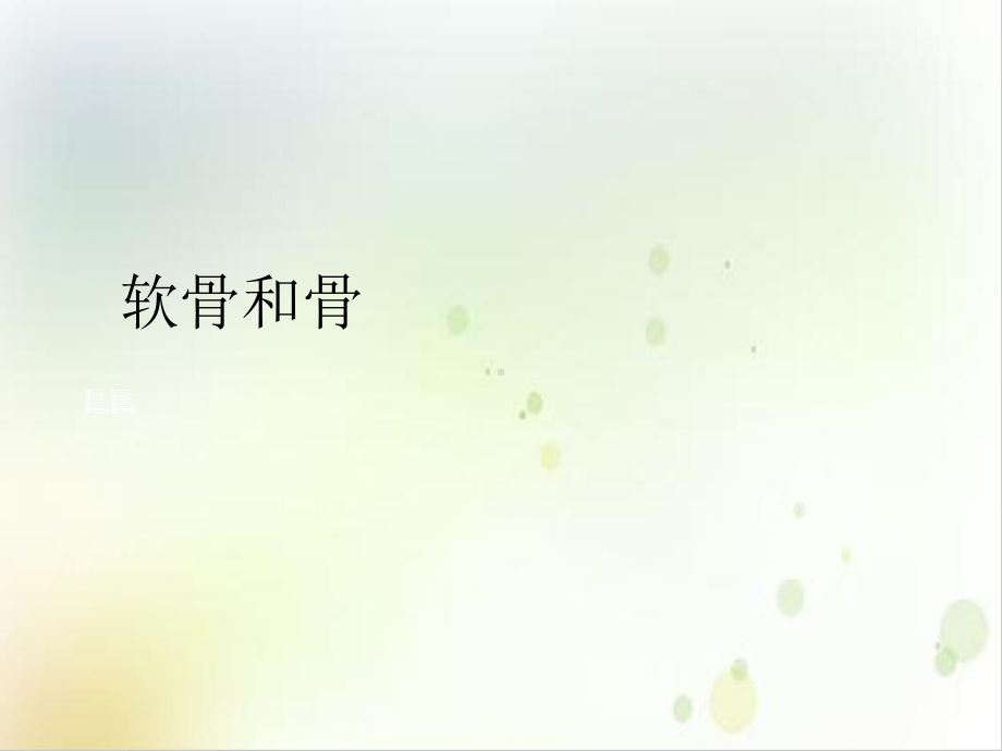 软骨和骨课件1.ppt_第2页