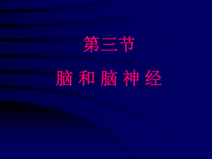 脑和脑神经课件-2.ppt