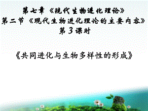 生物新课程教学说课课件-共同进化.ppt