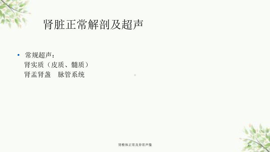 肾椎体正常及异常声像课件.ppt_第2页