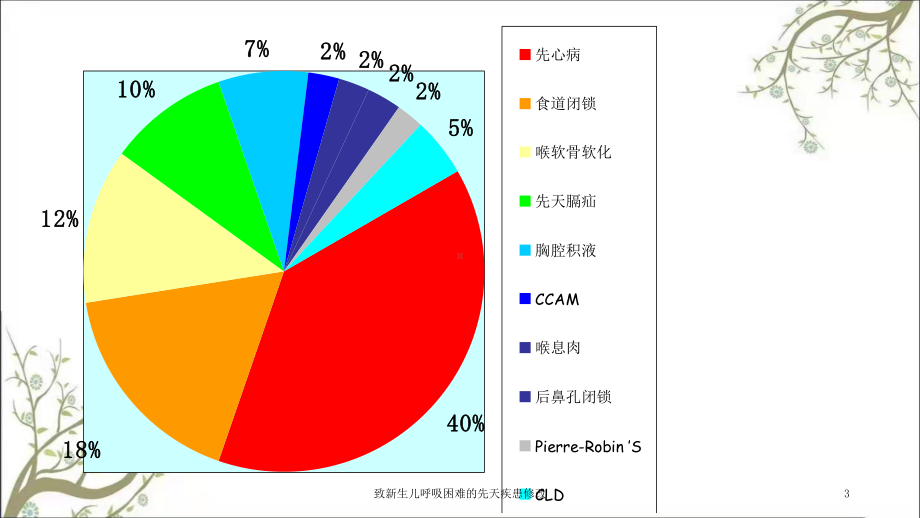 致新生儿呼吸困难的先天疾患修改课件.ppt_第3页