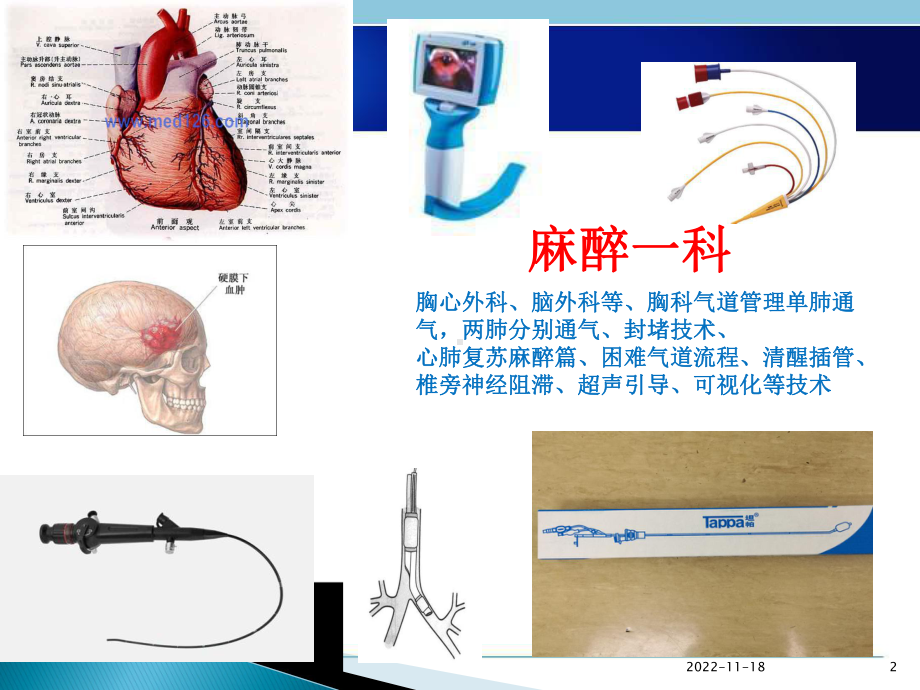 支气管封堵器的插入与定位-左肺封堵(课堂)课件.pptx_第2页