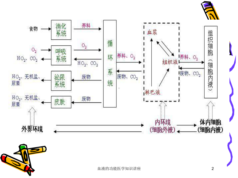 血液的功能医学知识讲座培训课件.ppt_第2页