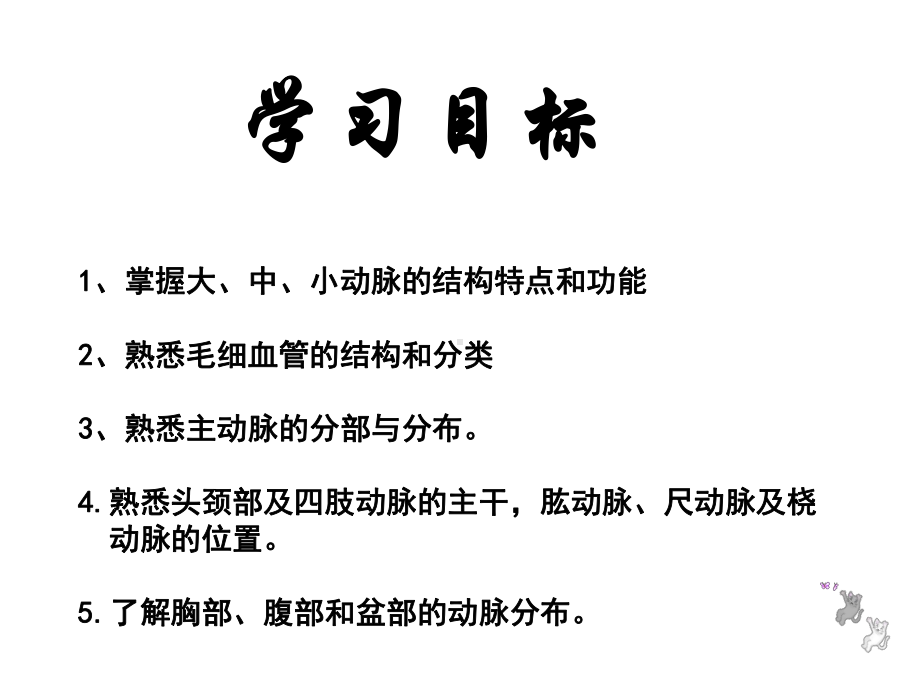 脉管系统2动脉课件.ppt_第2页