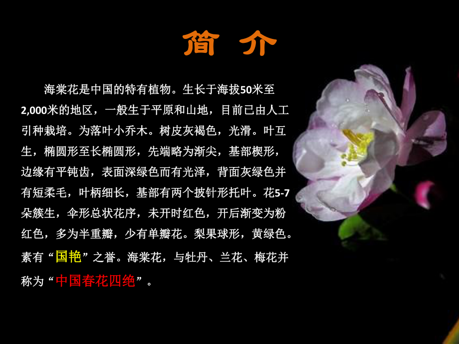 海棠花赏析课件.ppt_第2页