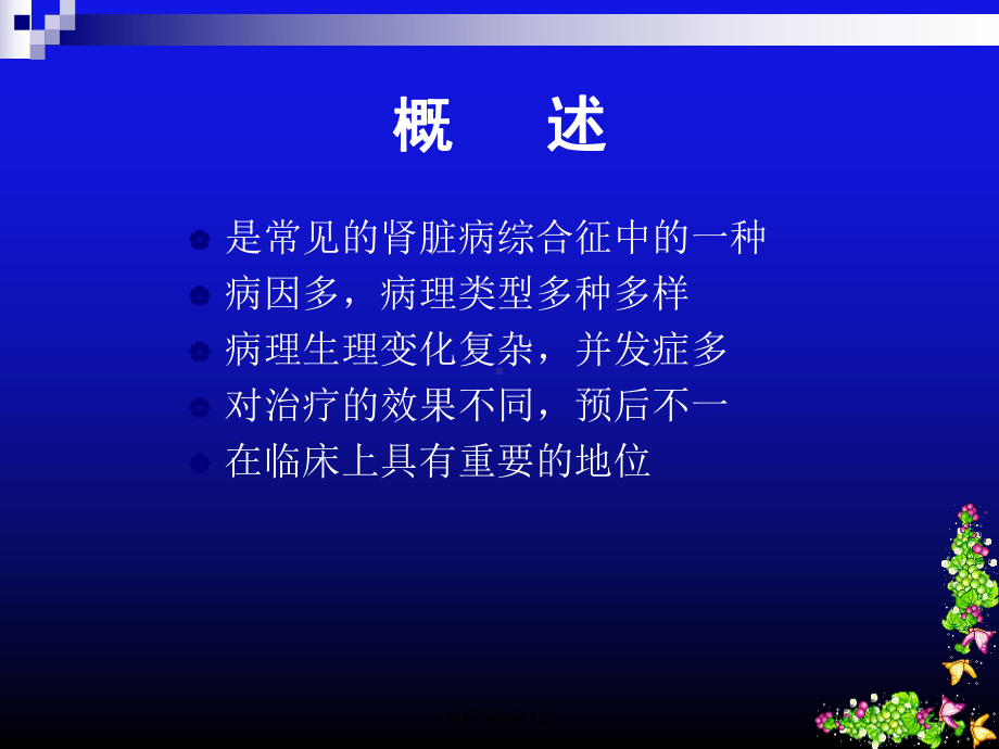 肾病综合征1改课件.ppt_第2页