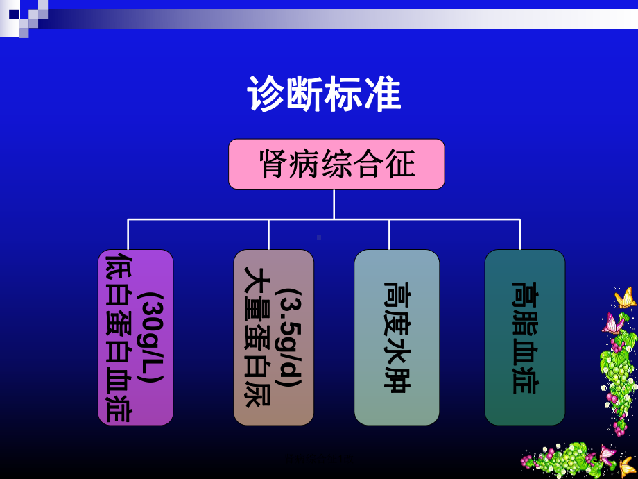 肾病综合征1改课件.ppt_第3页