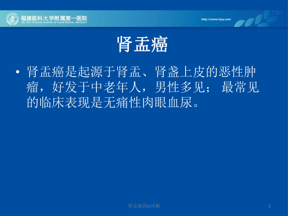 肾盂癌的ct诊断课件.ppt_第2页