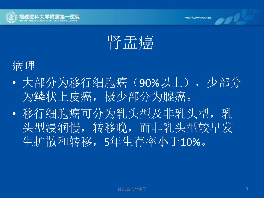 肾盂癌的ct诊断课件.ppt_第3页