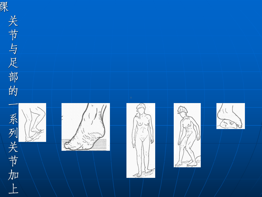 踝关节解剖(详解)课件-2.ppt_第2页