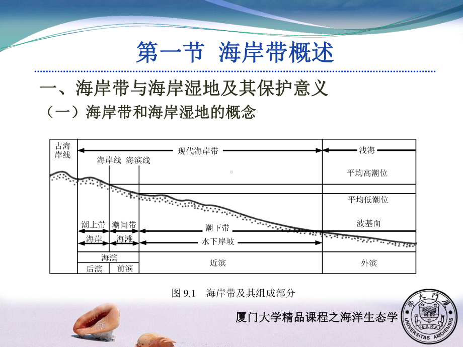 海洋生态学-第九章课件.ppt_第2页