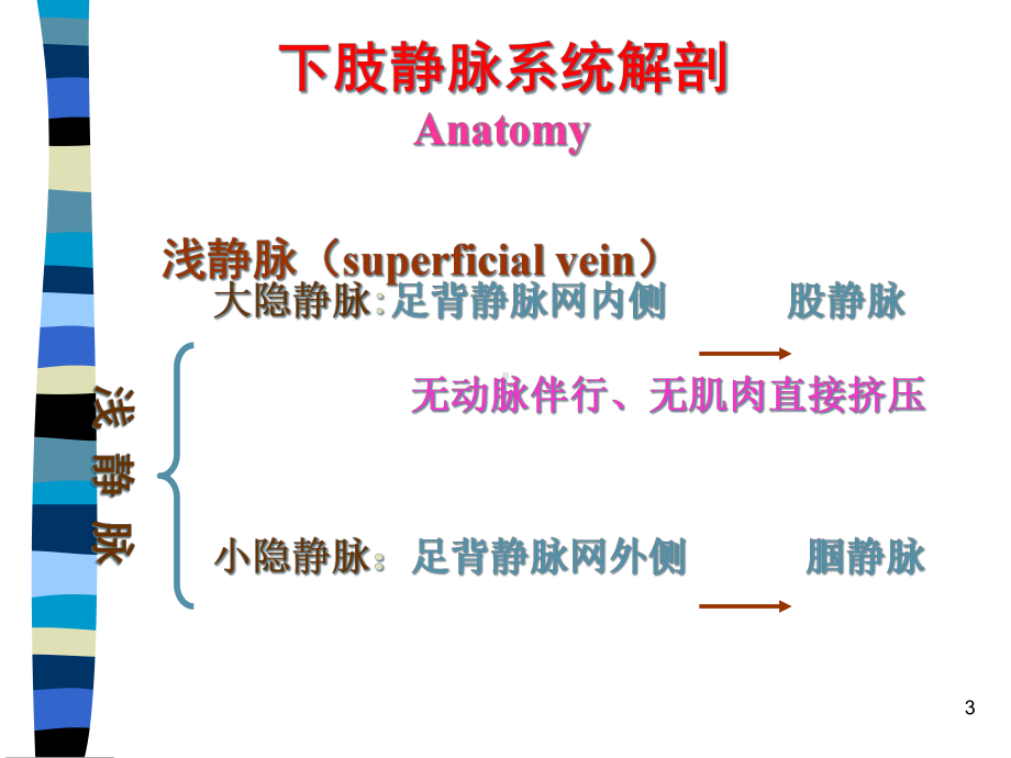 静脉曲张幻灯课件.ppt_第3页