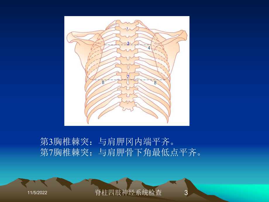 脊柱四肢神经系统检查培训课件.ppt_第3页