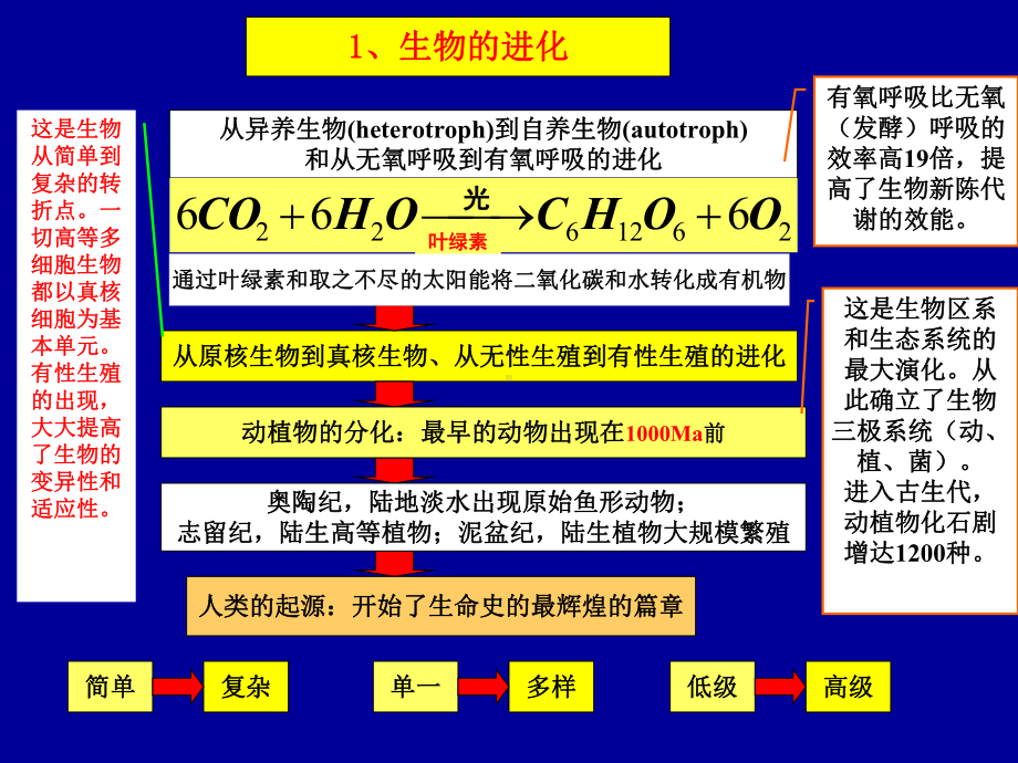 生物的化学组成及沉积有机质课件.ppt_第2页