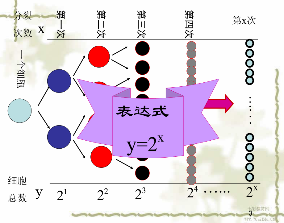 数学必修1北师大版33指数函数课件2.ppt_第3页