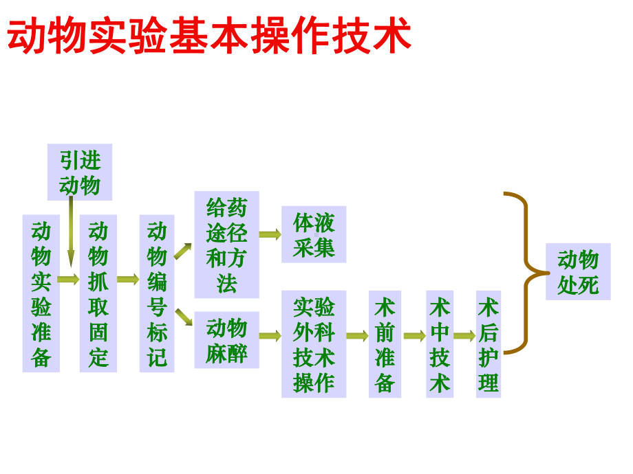 第九章动物实验基本操作技术课件.ppt_第3页