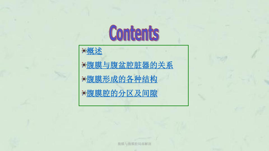 腹膜与腹膜腔局部解剖课件.ppt_第2页