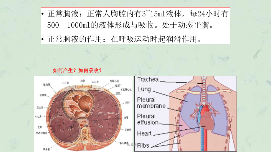 胸膜疾病版课件.ppt_第3页