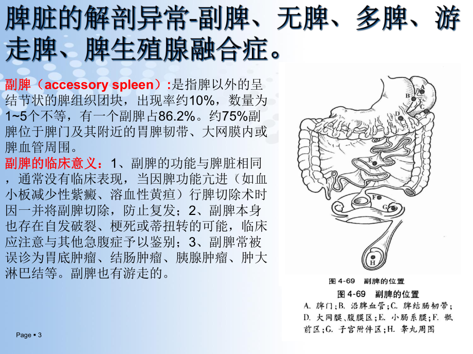 脾脏的应用解剖以及脾切除术课件-2.ppt_第3页