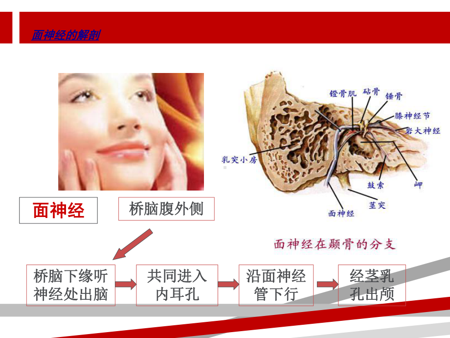 面神经麻痹课件参考年诊治指南.ppt_第2页