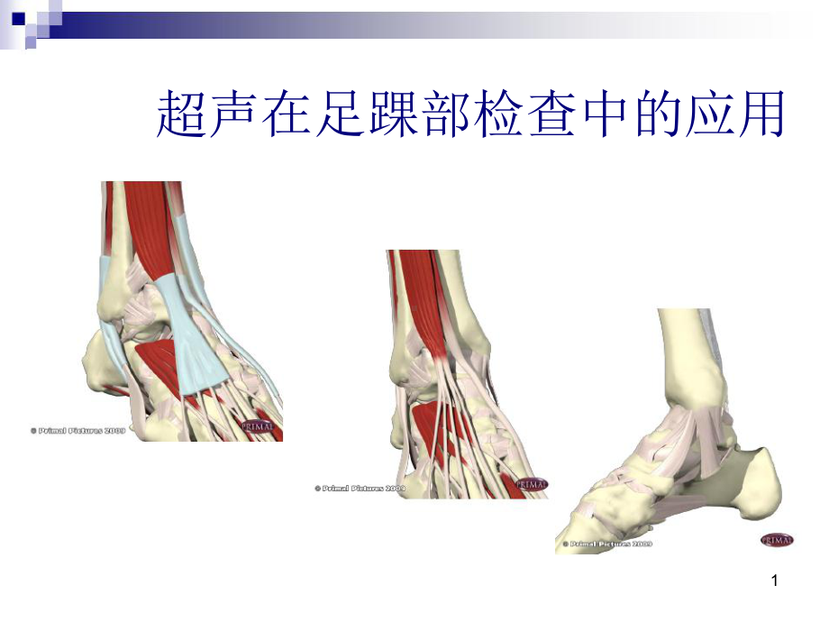 超声在足踝部检查中的应用优质课件.ppt_第1页