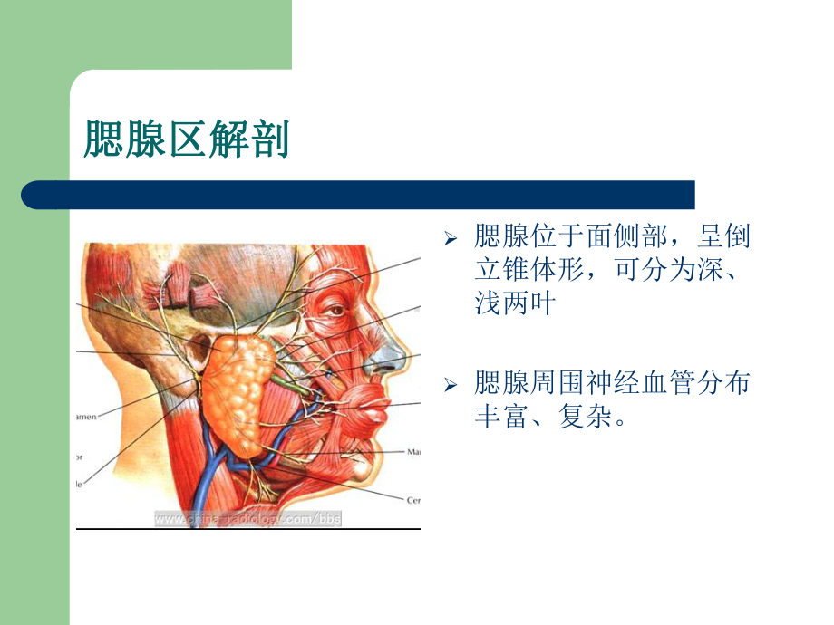 腮腺肿瘤围手术期的护理-课件.ppt_第3页