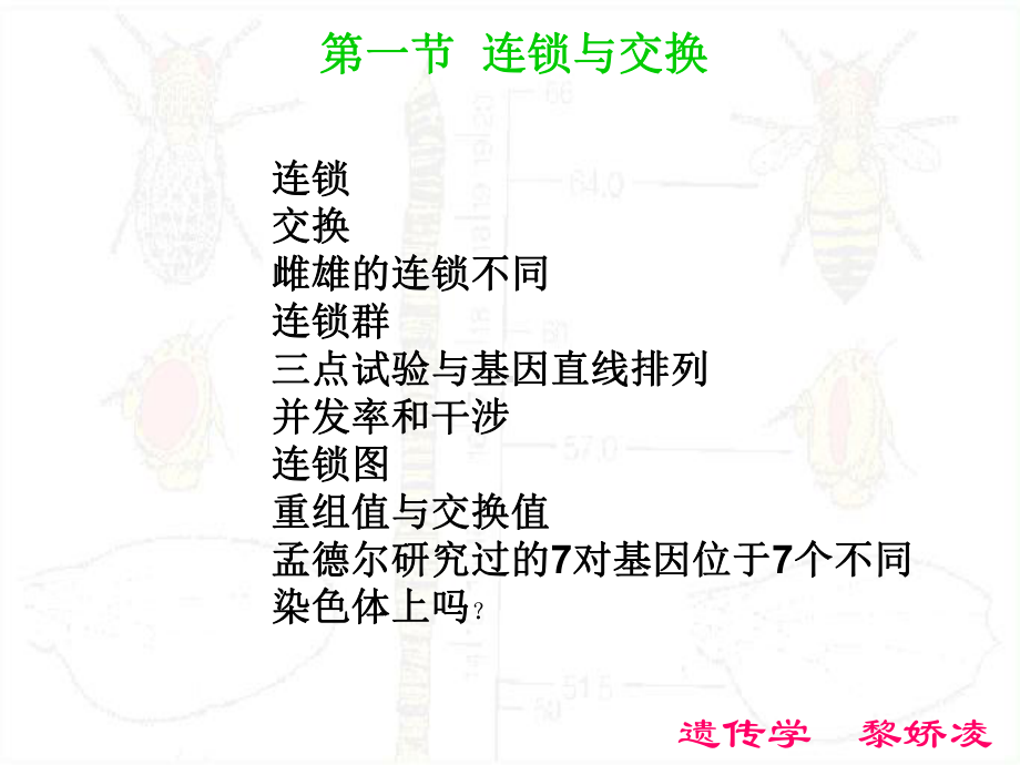 染色体和连锁群-课件.ppt_第2页