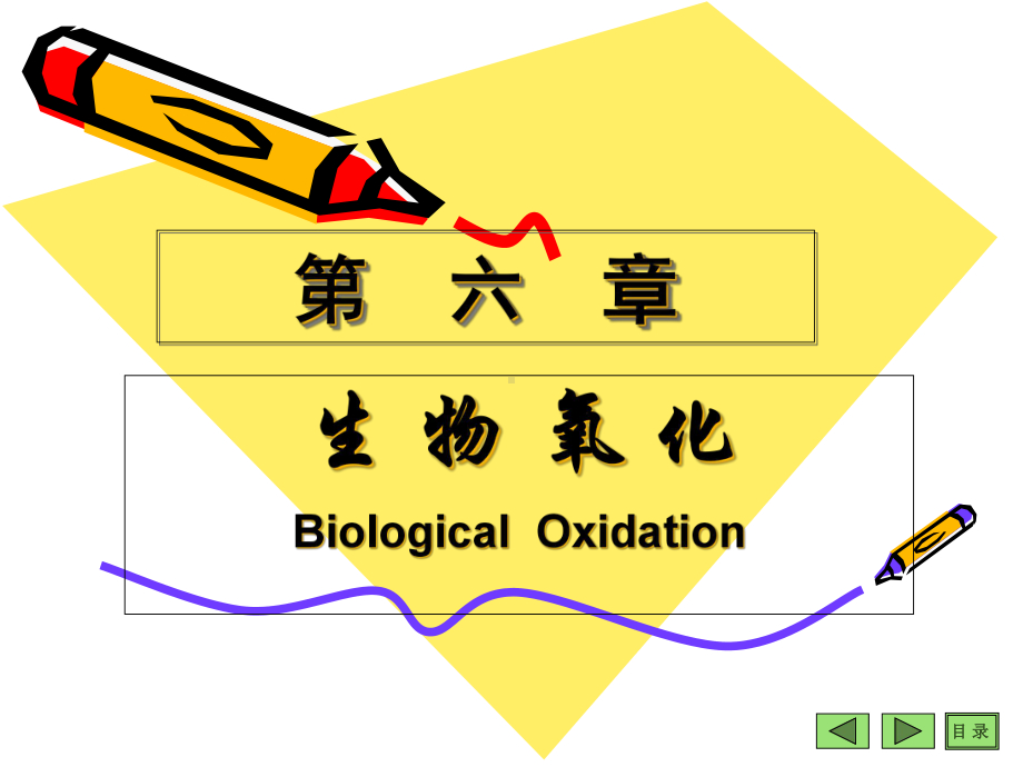 生物化学-生物氧化课件.ppt_第1页