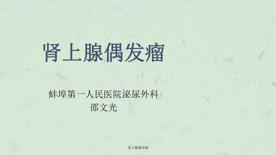 肾上腺偶发瘤课件.ppt_第1页