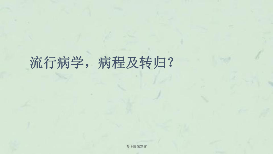 肾上腺偶发瘤课件.ppt_第3页