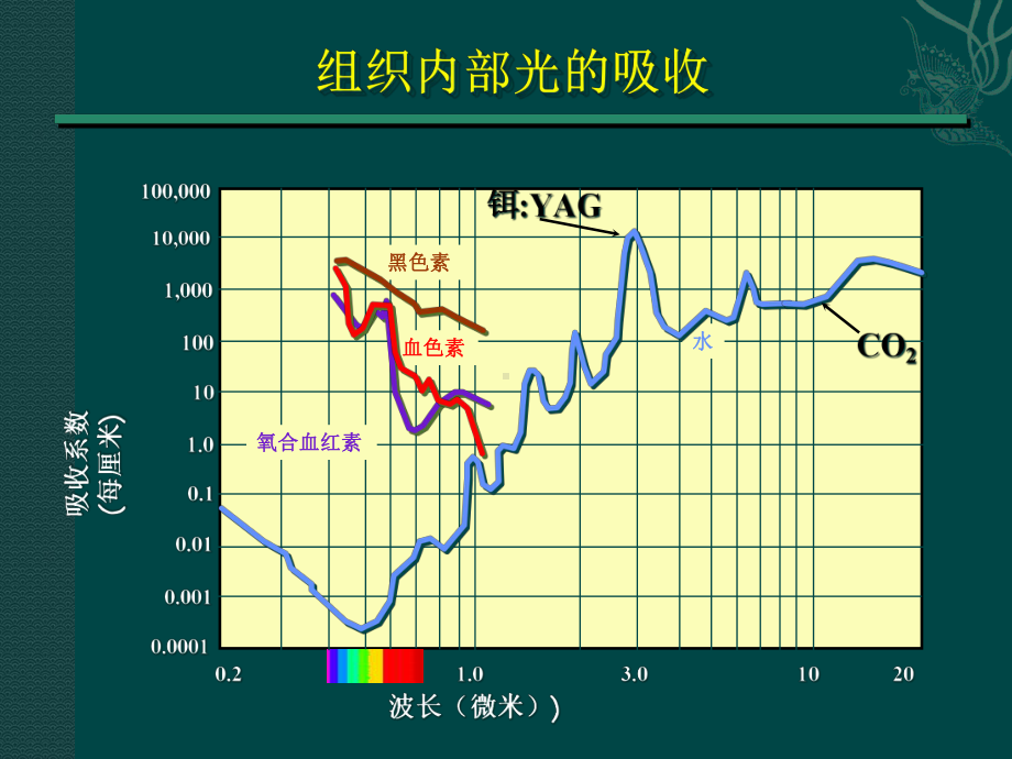 色素病激光治疗课件.pptx_第2页