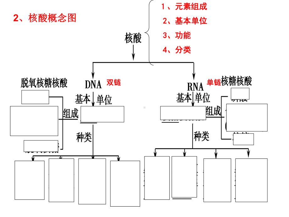 必修一第一单元第4讲遗传信息的携带者-核酸细胞中的糖类和脂质课件.ppt_第3页