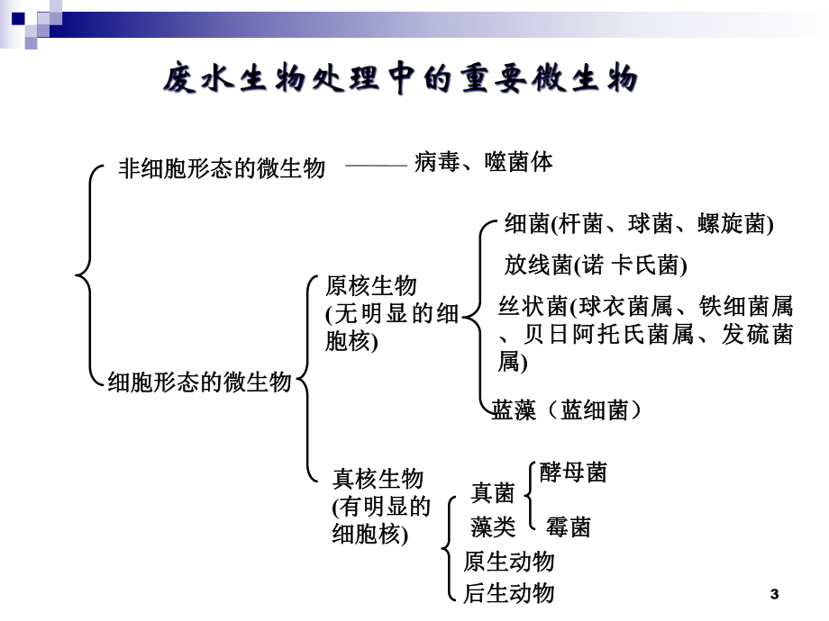 活性污泥法教学课件.ppt_第3页