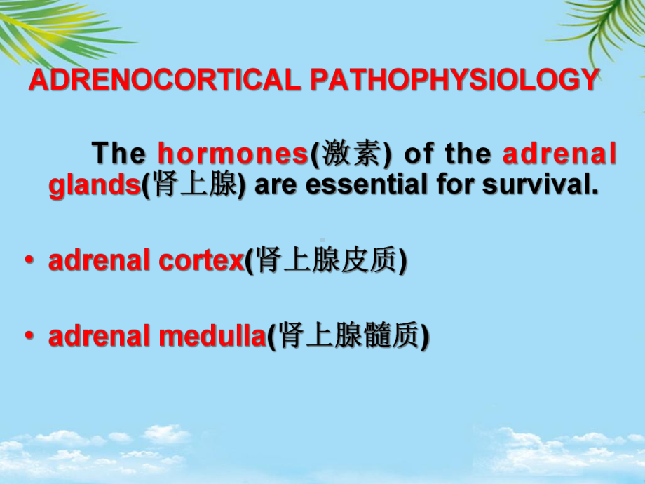 肾上腺皮质病理生理学课件.ppt_第2页