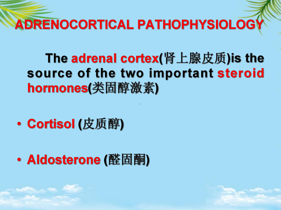 肾上腺皮质病理生理学课件.ppt_第3页