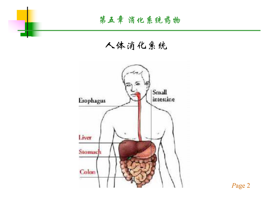 药化-消化系统药物g课件.ppt_第2页