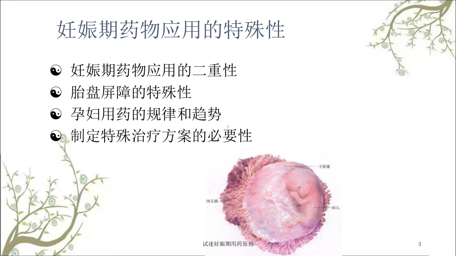 试述妊娠期用药原则课件.ppt_第3页