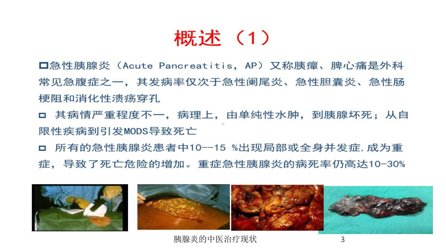 胰腺炎的中医治疗现状培训课件.ppt_第3页