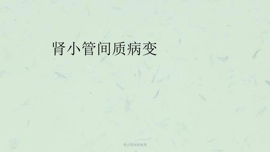 肾小管间质病变课件.ppt_第1页