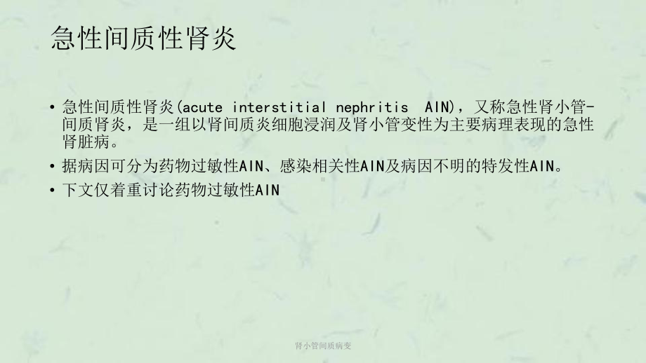 肾小管间质病变课件.ppt_第2页