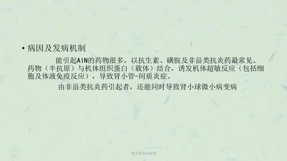 肾小管间质病变课件.ppt_第3页