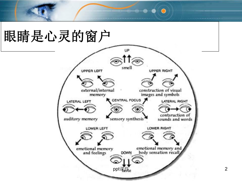 眼动追踪技术-课件.ppt_第2页