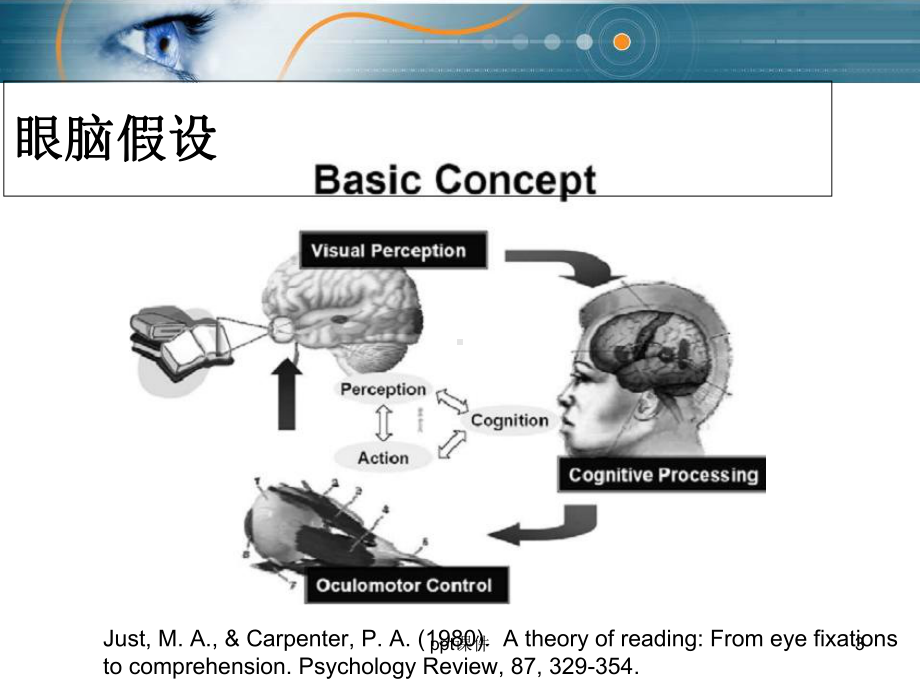 眼动追踪技术-课件.ppt_第3页