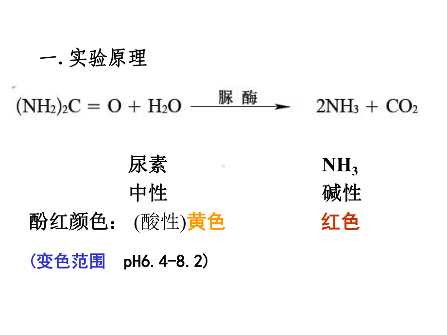 实验2：分离以尿素为氮源微生物-附件课件.ppt_第3页