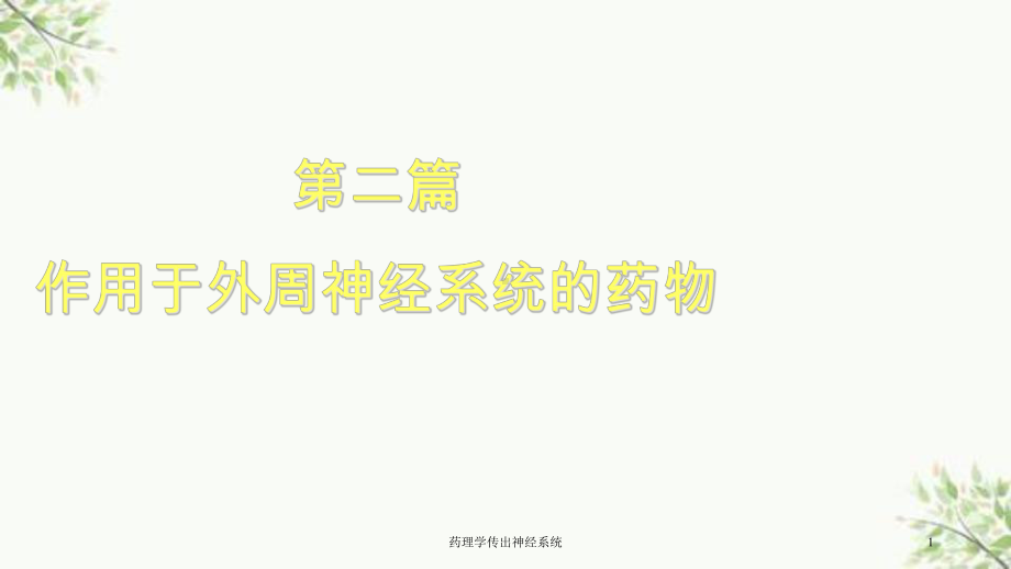 药理学传出神经系统课件.ppt_第1页